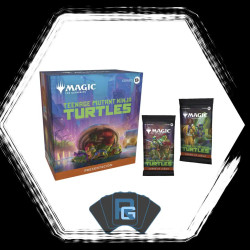 Kit Presetacion: TMNT (Español)